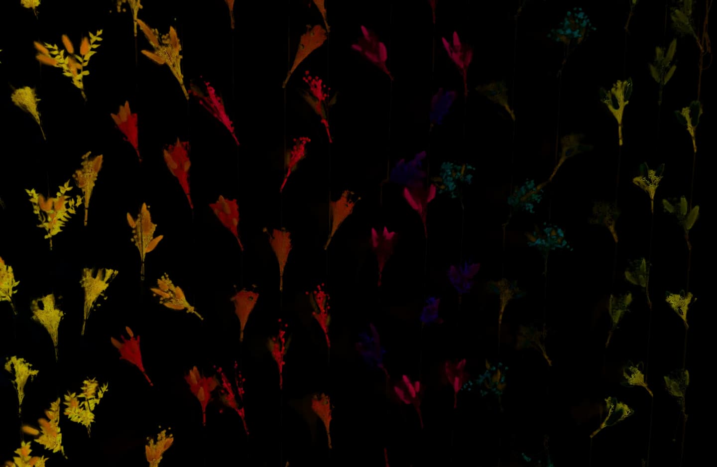 Fleurs séchées suspendues, atelier Café Coquelicot