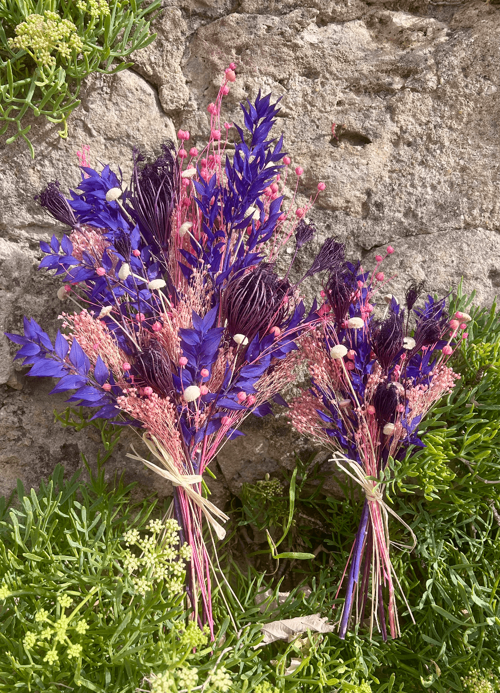 Praline Violette