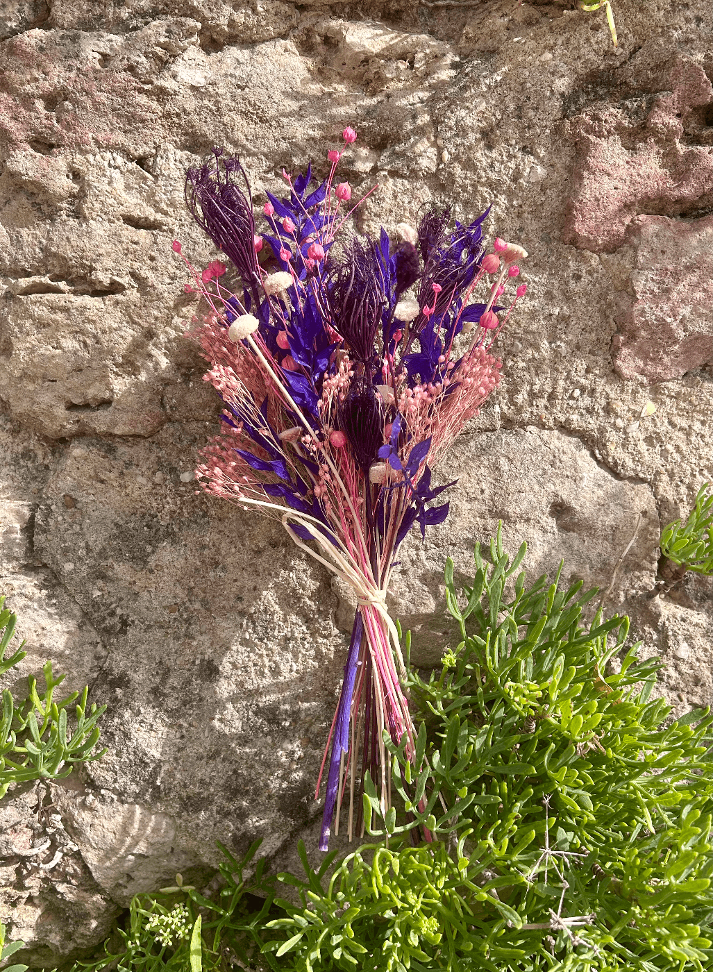 Praline Violette