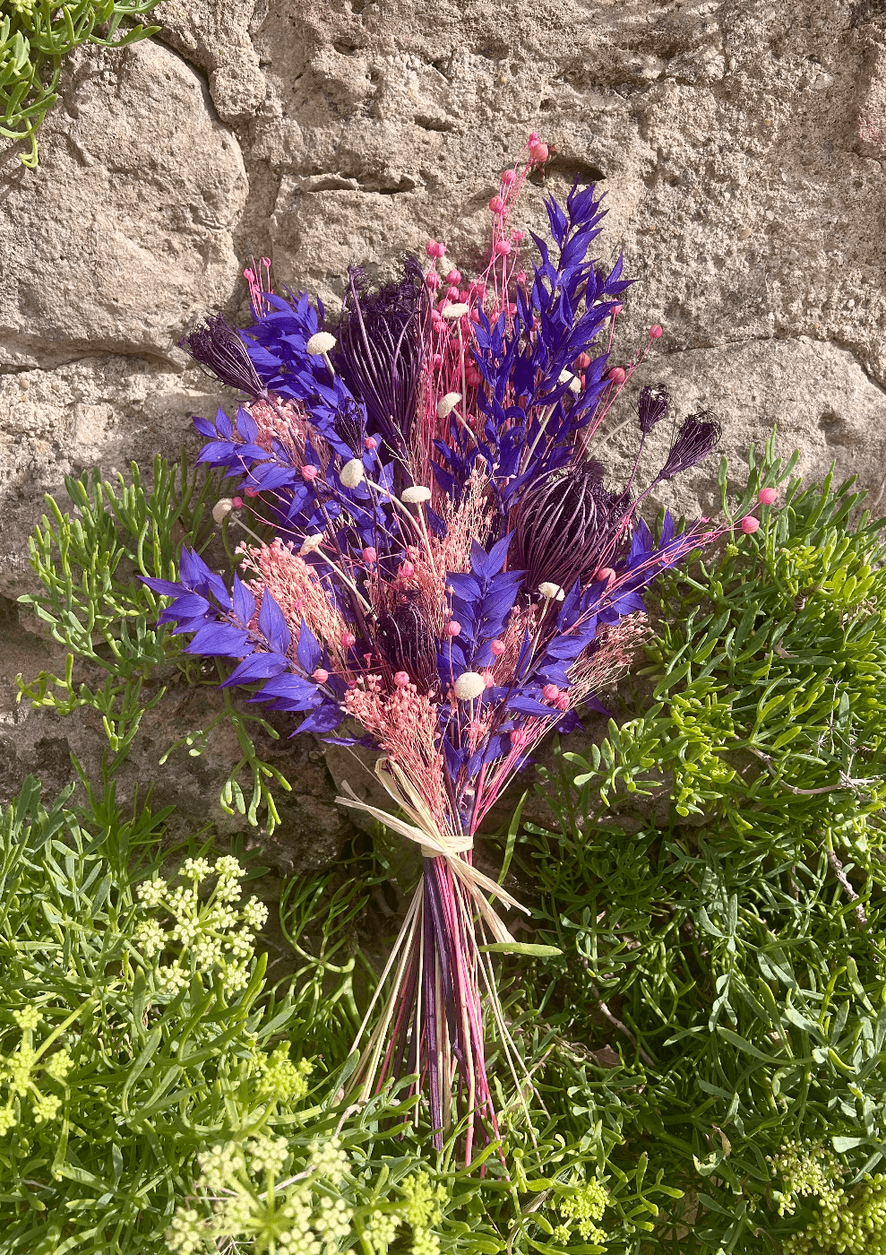 Praline Violette
